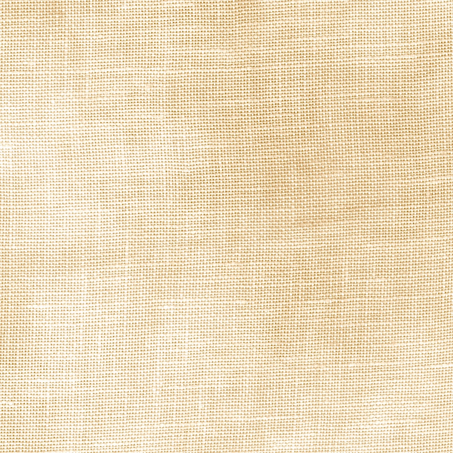 PREORDER FABRIC OF THE MONTH Pumpkin Cream Fat Quarter, Sampler Cut™ or Fat Half