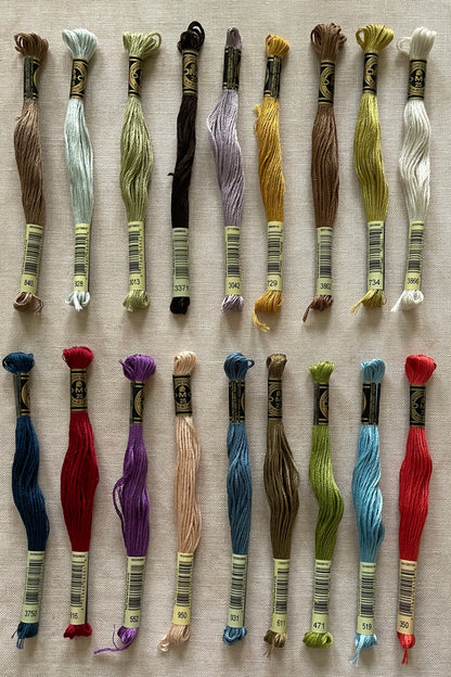 36 Count Presentation 24" x 27” Sampler Cut™