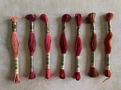 36 Count Presentation 24" x 27” Sampler Cut™